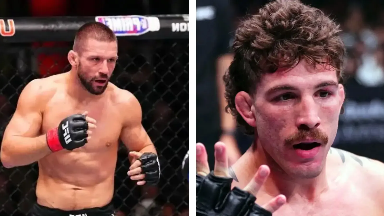 UFC Vegas 120: Palpites SUPER LUTAS Revelam Favoritos para Gamrot x Salkilld e Destaques Brasileiros