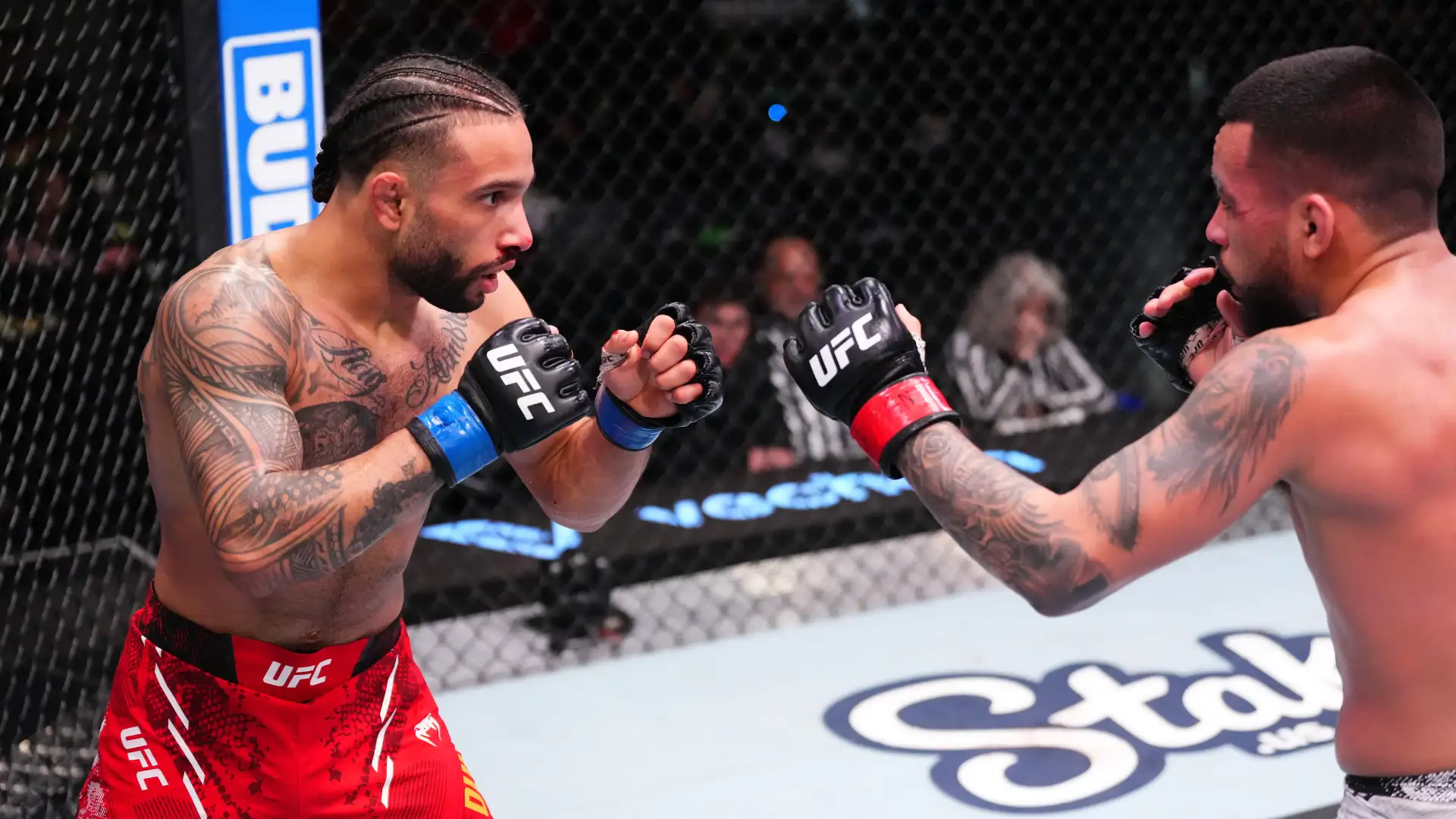 Guia Completo: Como Comprar Ingressos para o UFC Fight Night, Datas, Preços e Dicas Essenciais para Ver as Lutas ao Vivo